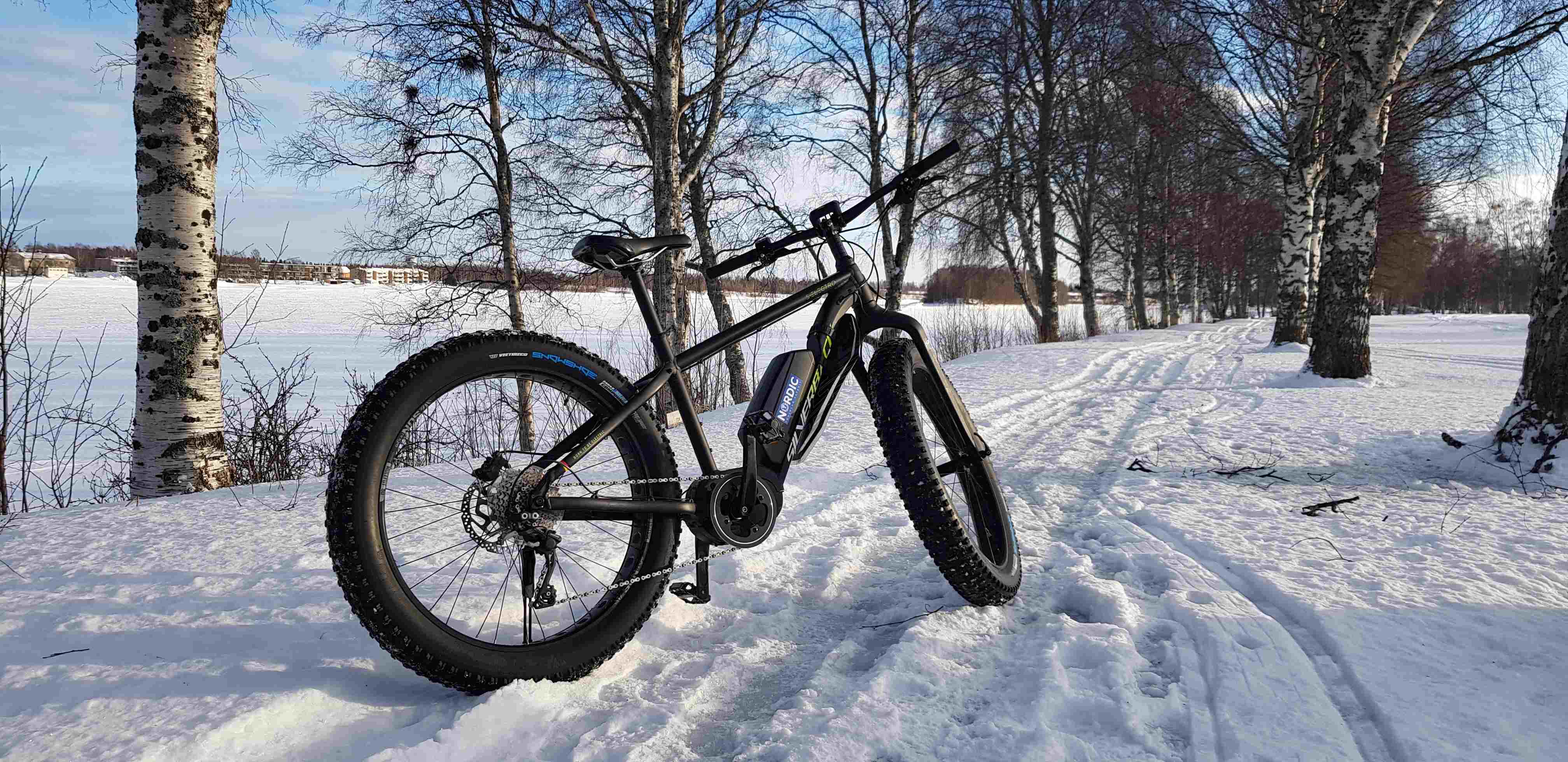 eFatbike