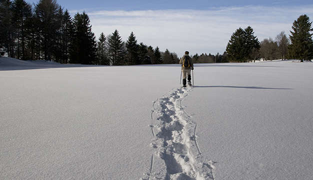 Showshoe Walking